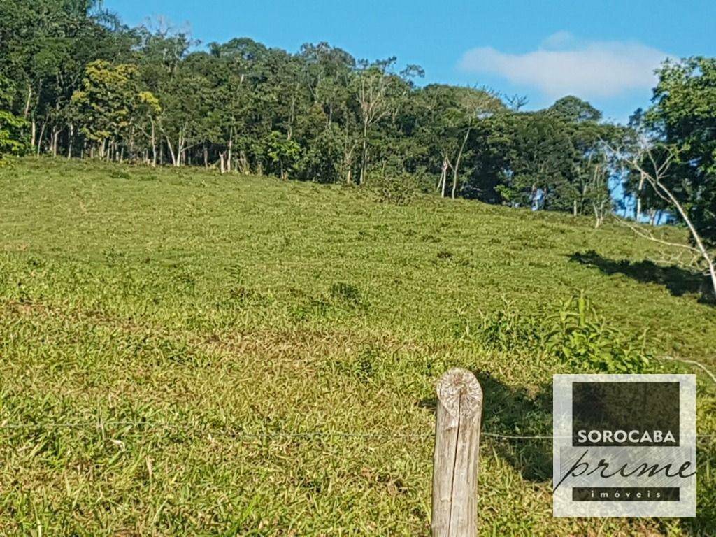 Fazenda à venda, 202000M2 - Foto 6