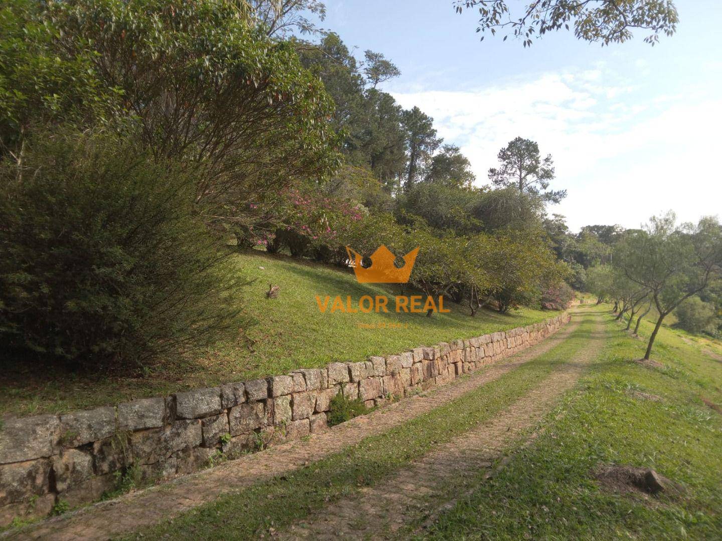 Sítio, 15 quartos, 10 hectares - Foto 33