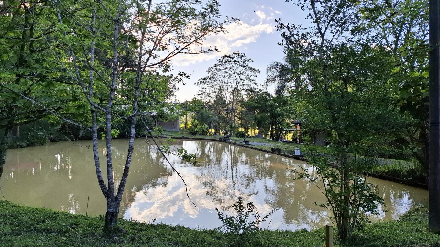 Fazenda à venda com 2 quartos, 8000m² - Foto 19