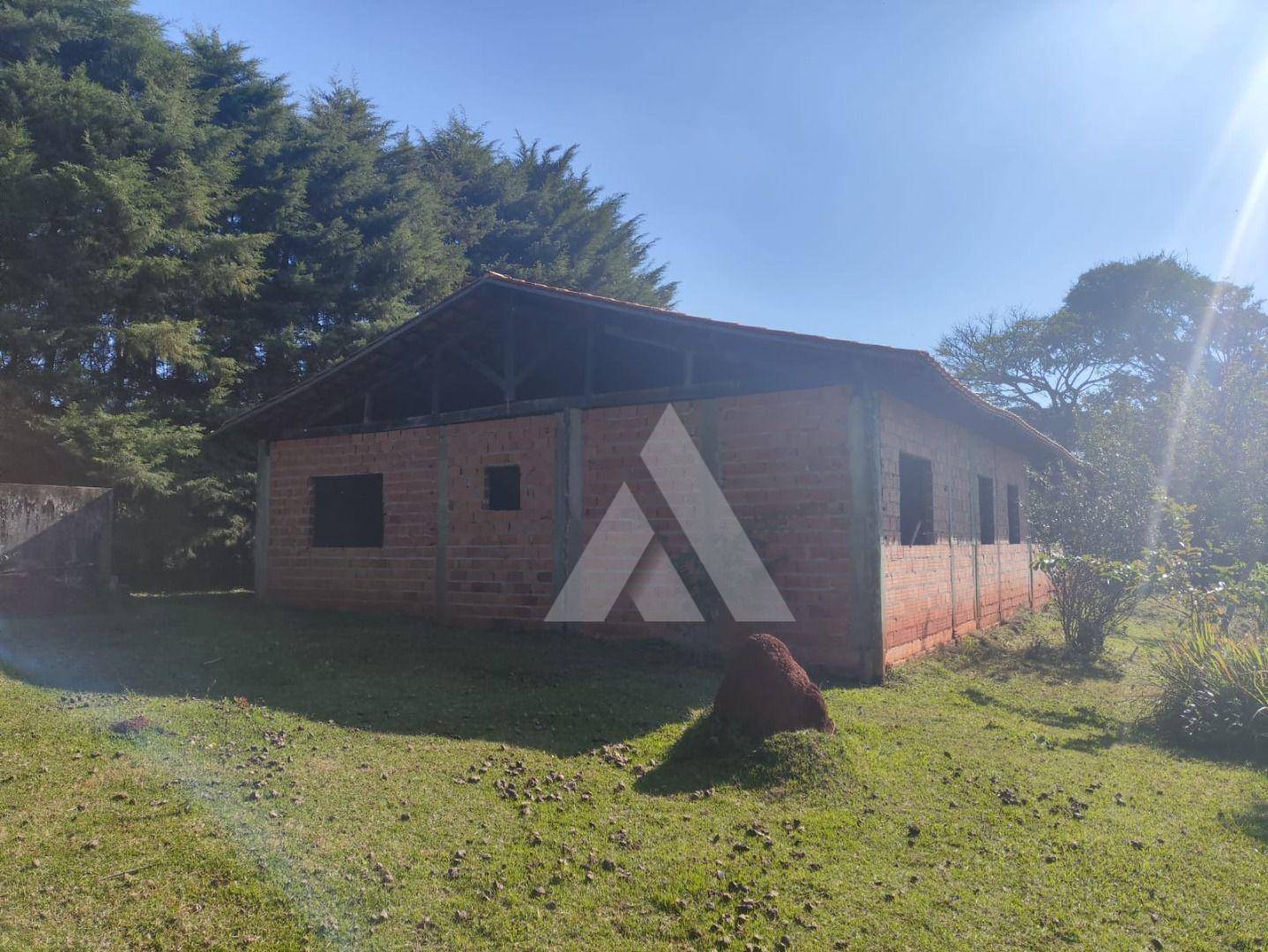 Chácara, 4 quartos, 3000 m² - Foto 2