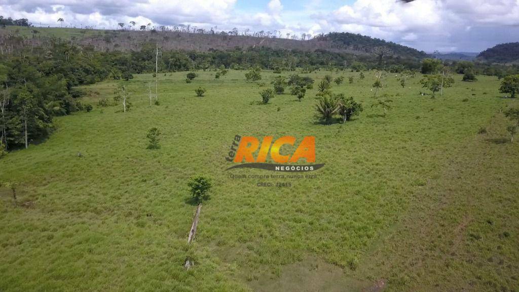 Fazenda à venda com 1 quarto, 6530000M2 - Foto 27