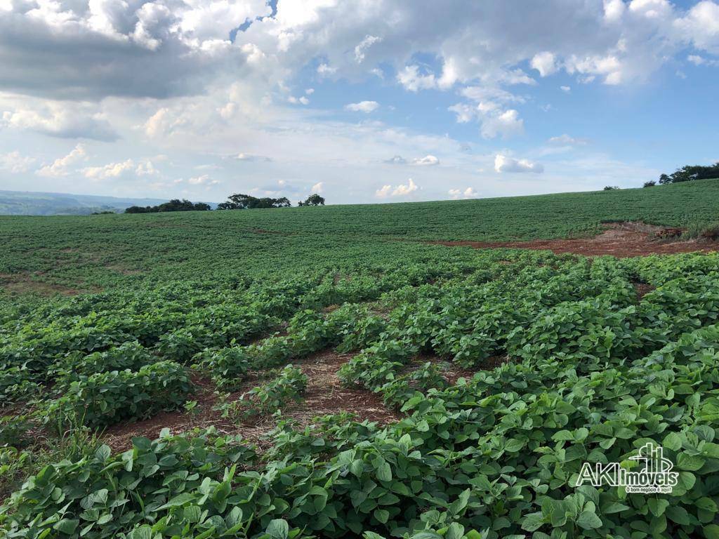 Fazenda à venda com 1 quarto, 2819300M2 - Foto 22