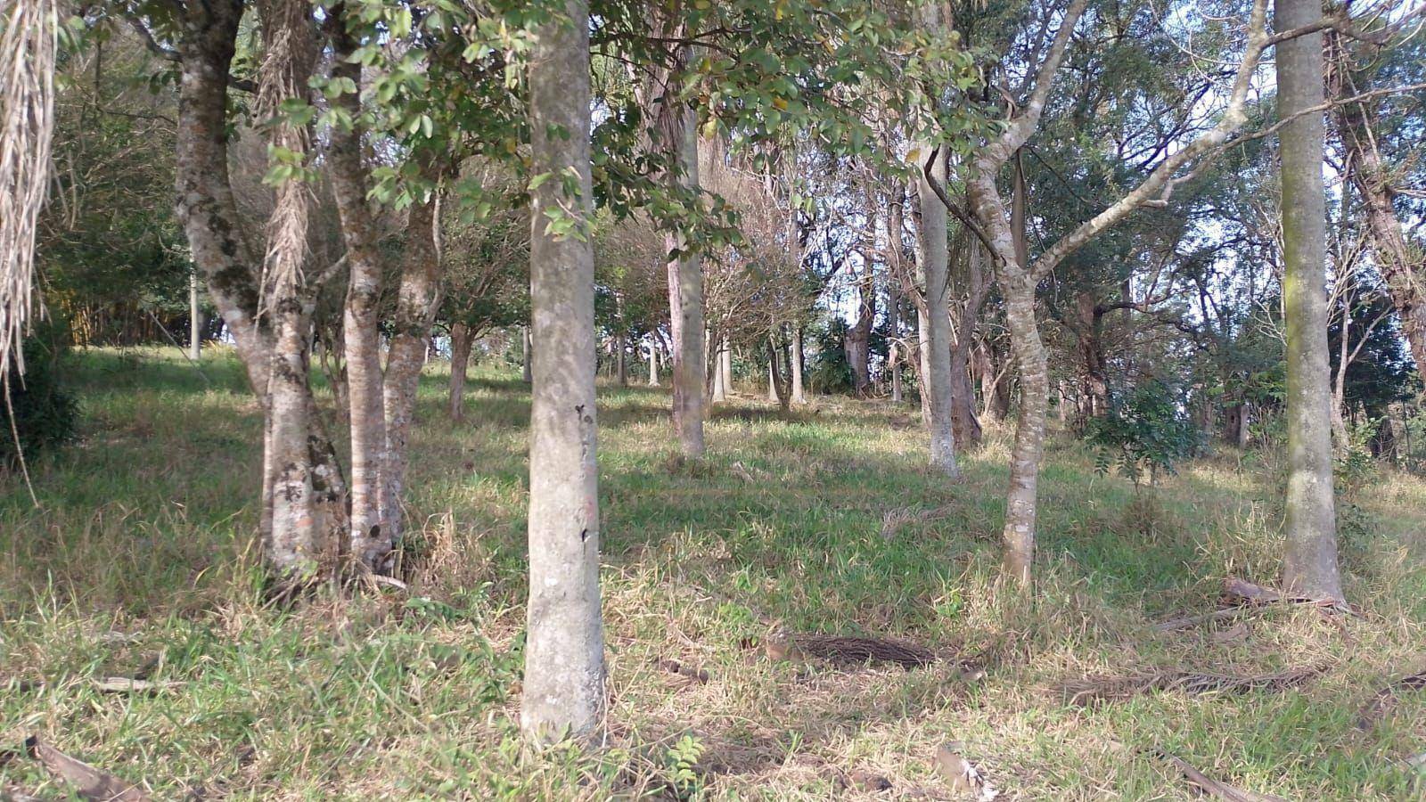 Sítio à venda, 72600M2 - Foto 23