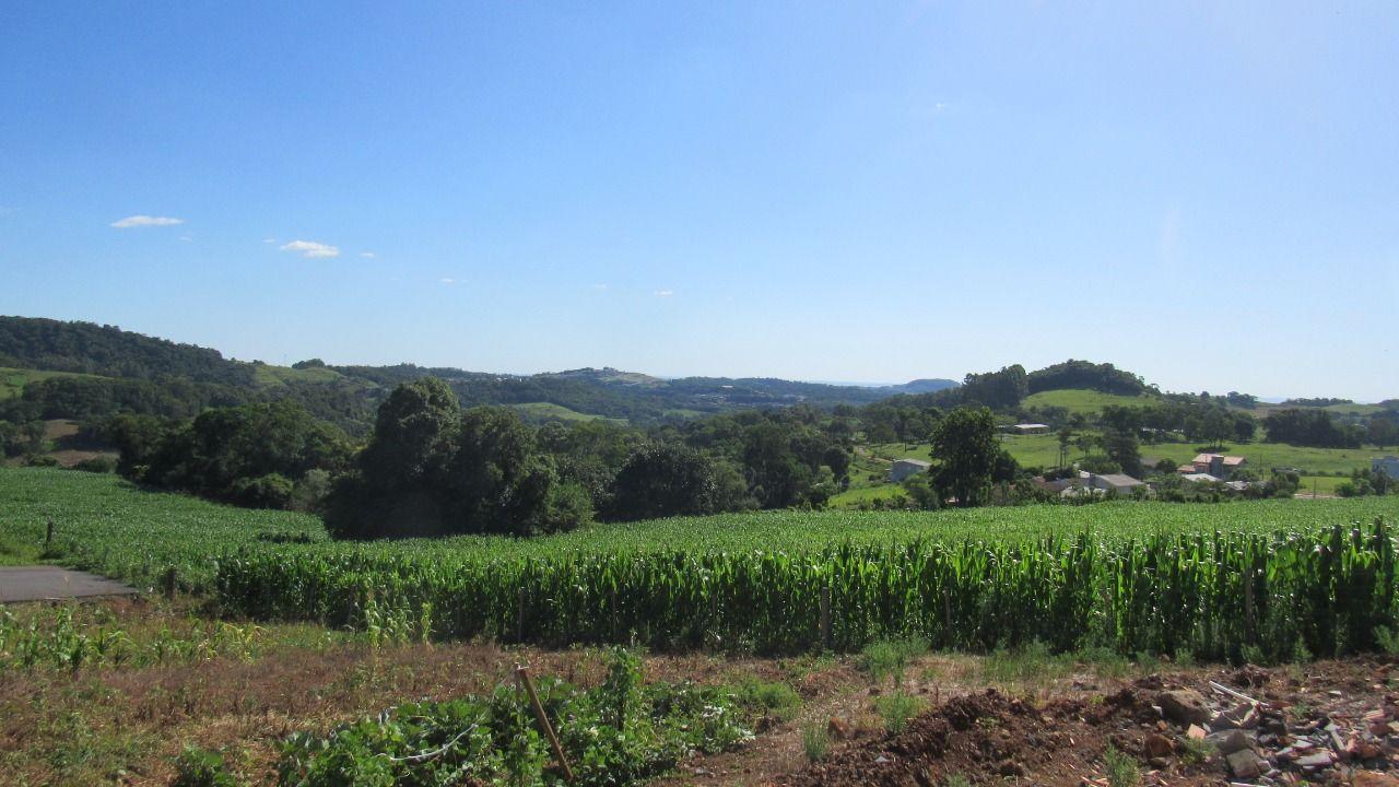 Terreno à venda, 400m² - Foto 4