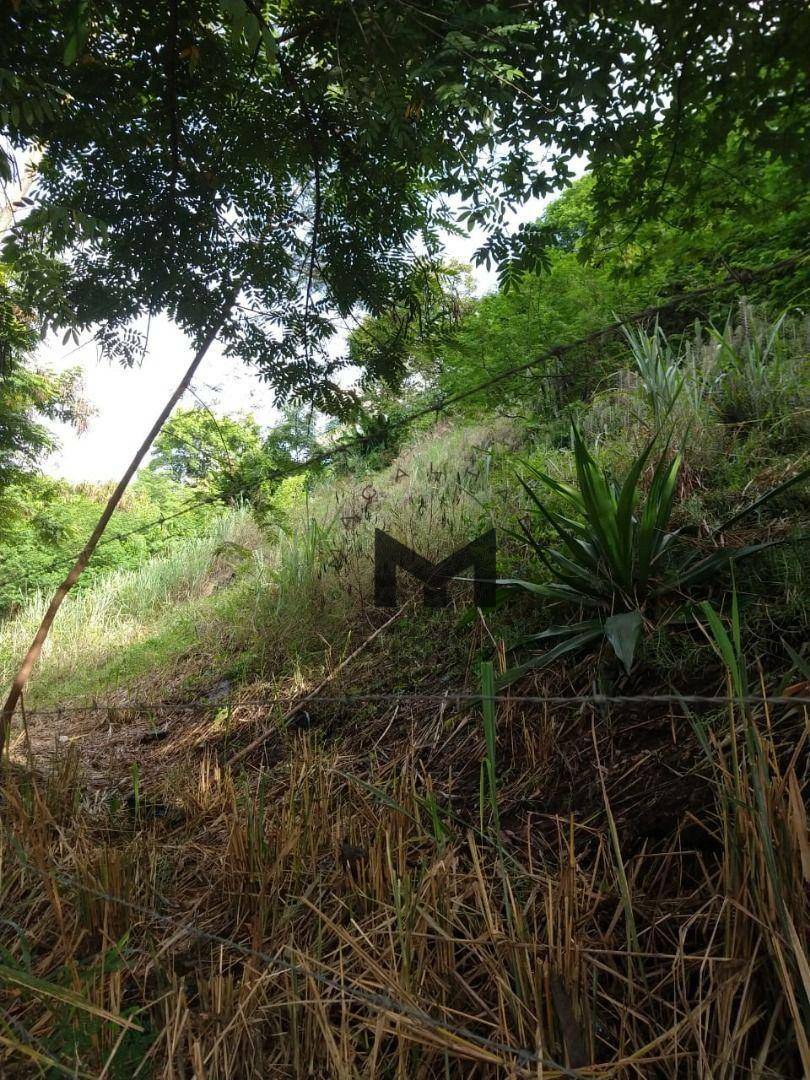 Terreno à venda, 450M2 - Foto 7