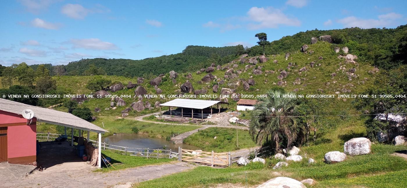 Fazenda à venda com 2 quartos, 600000m² - Foto 22