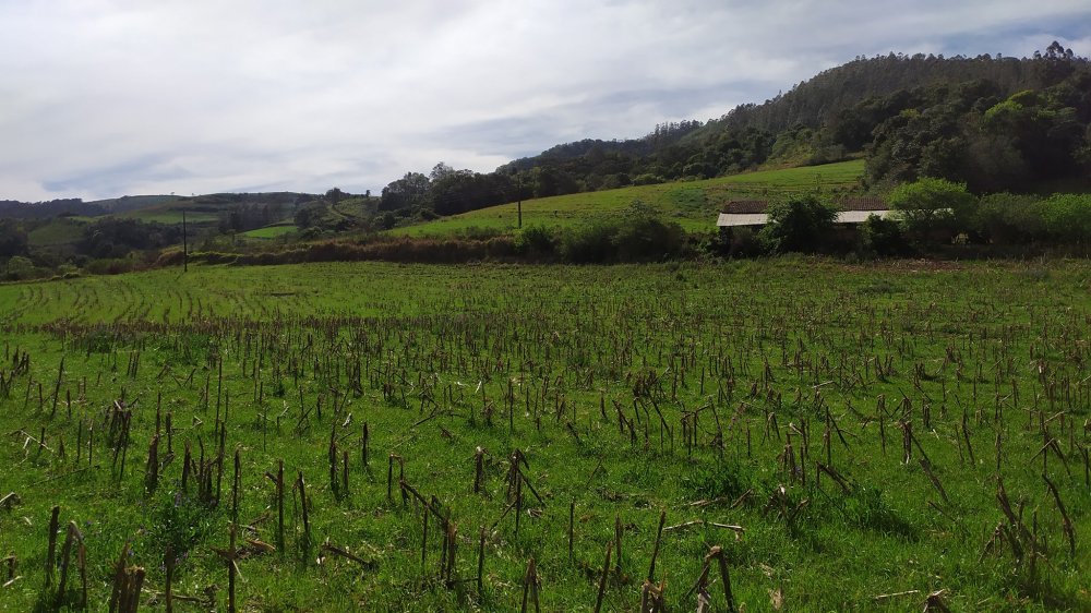 Fazenda à venda com 4 quartos, 12m² - Foto 3