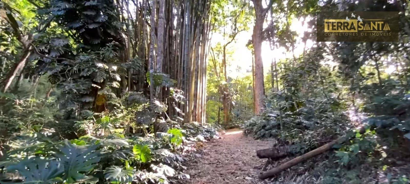 Fazenda à venda com 27 quartos, 3500000M2 - Foto 11