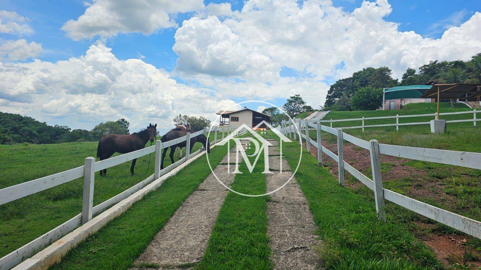 Haras e Área Rural Padrão à venda com 3 quartos, 27000M2 - Foto 21