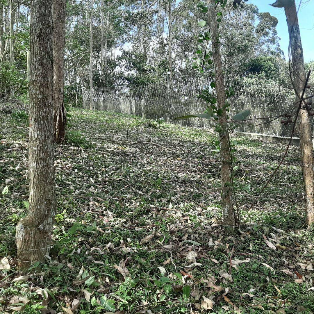 Loteamento e Condomínio à venda, 800M2 - Foto 8