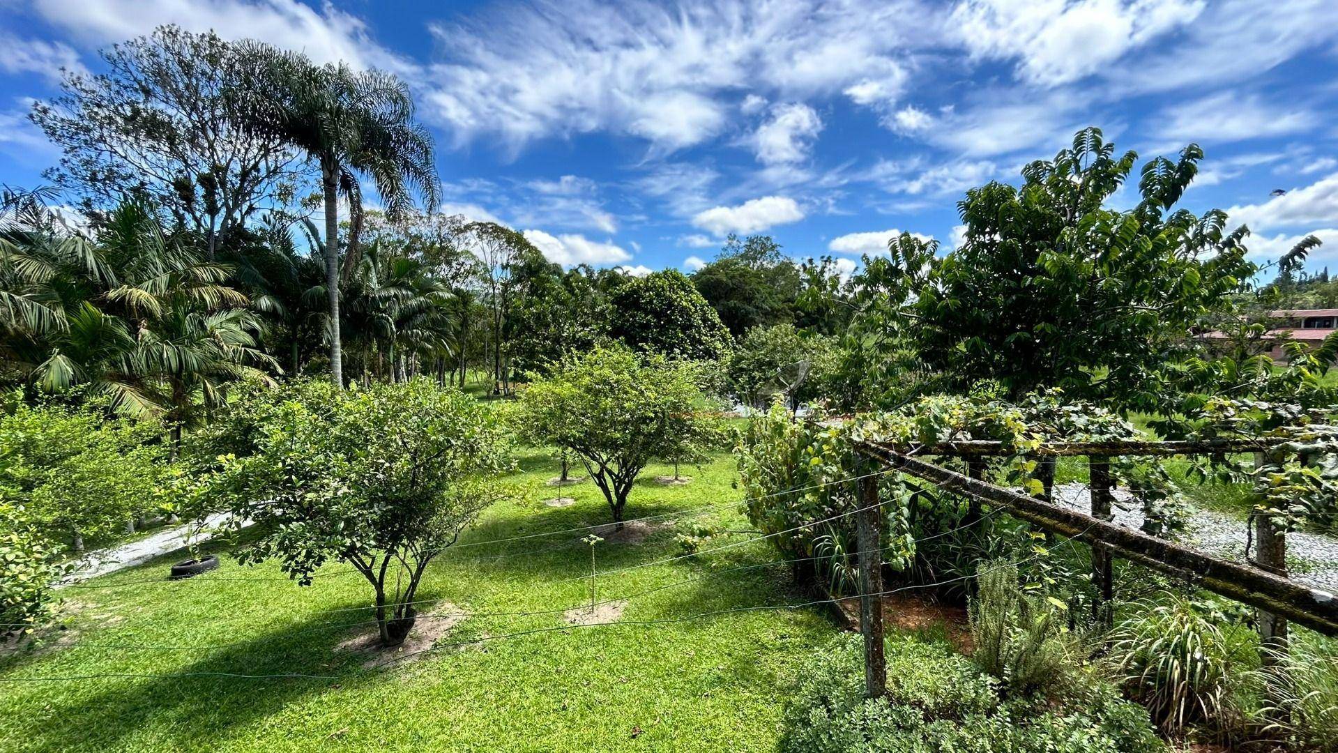 Chácara, 2 hectares - Foto 57