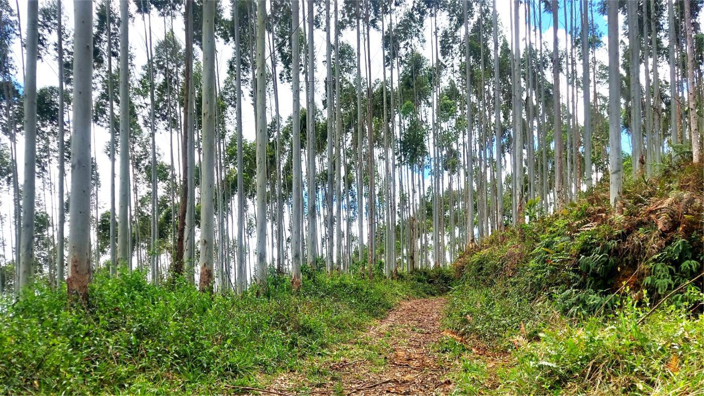 Fazenda à venda, 1564600m² - Foto 10