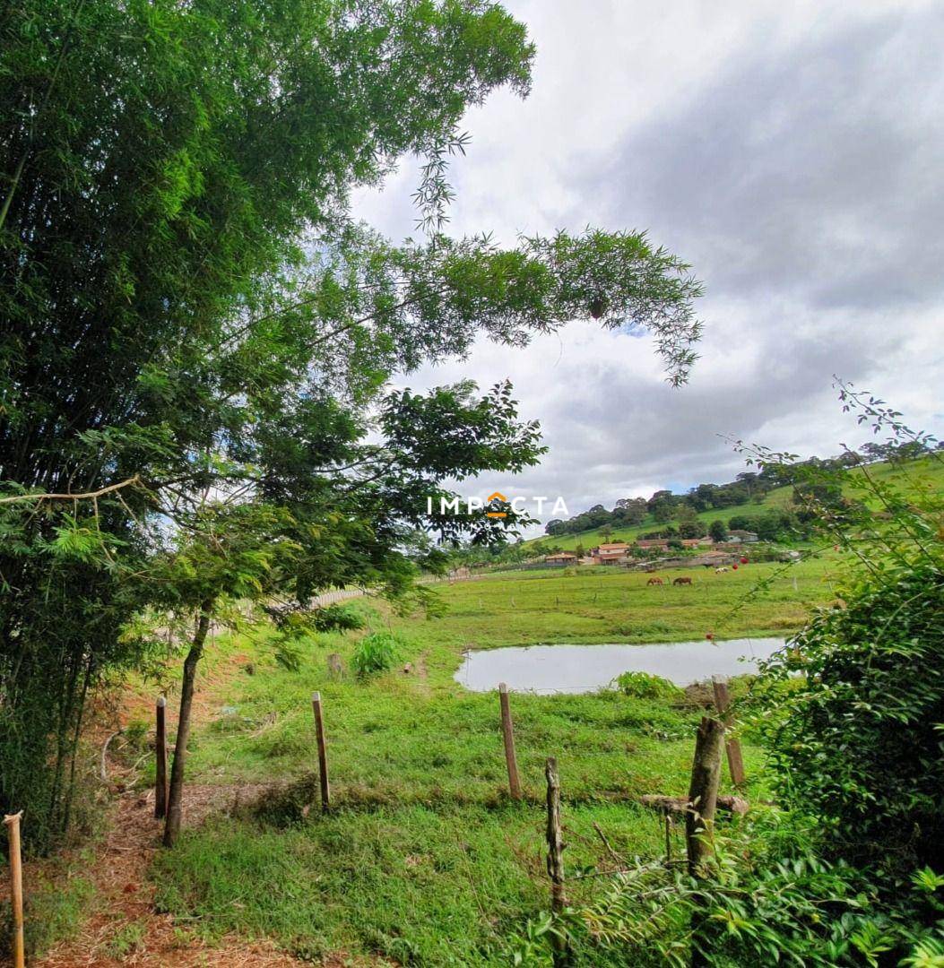 Chácara, 3 quartos, 10000 m² - Foto 5