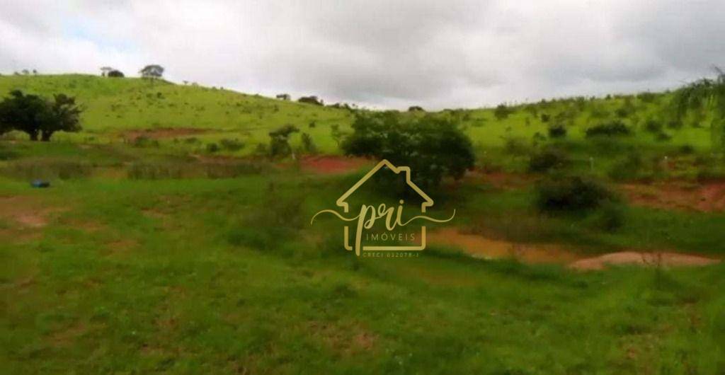 Fazenda à venda com 1 quarto, 1000m² - Foto 13