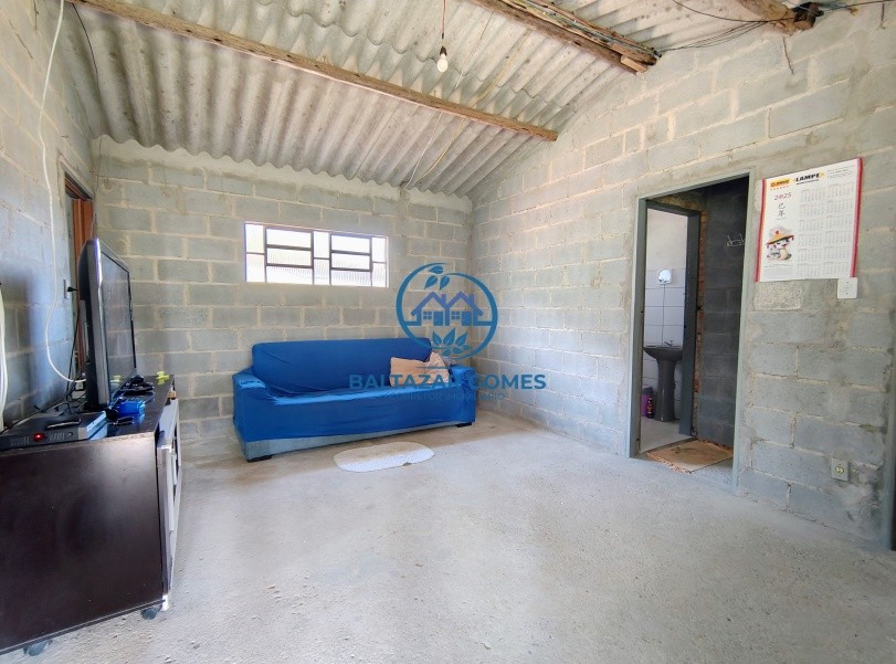 Chácara à venda com 2 quartos, 10000m² - Foto 10