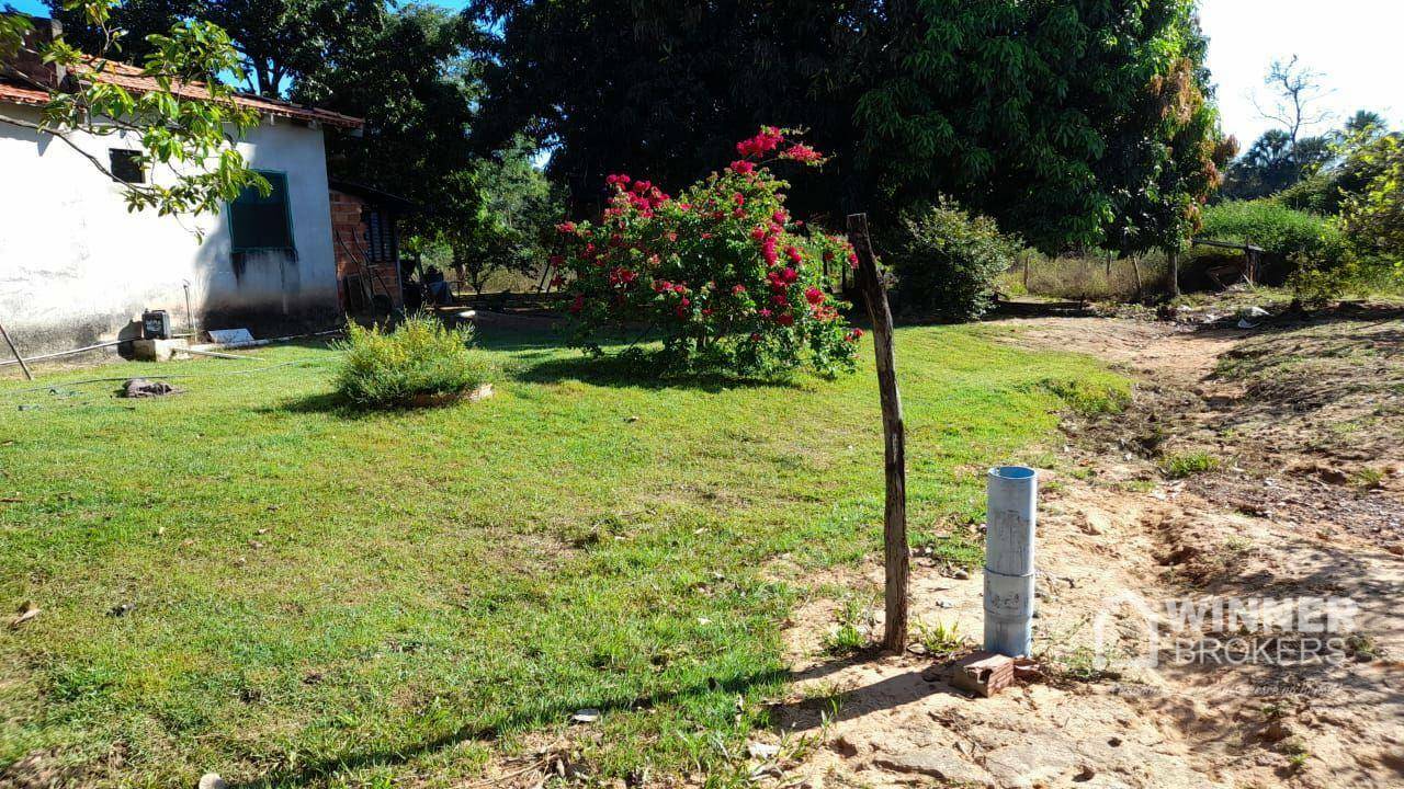 Fazenda à venda com 2 quartos, 4500000M2 - Foto 39