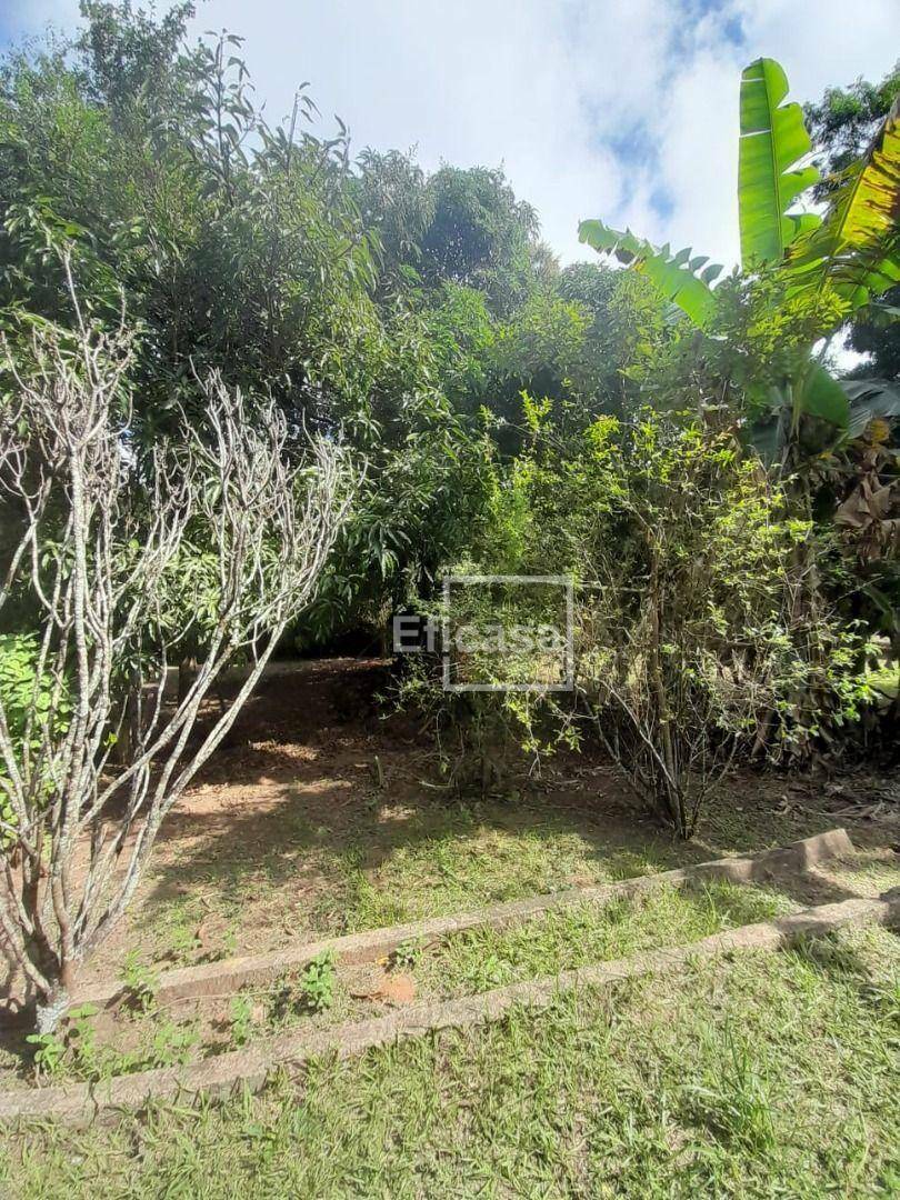 Chácara à venda com 1 quarto, 2573M2 - Foto 12
