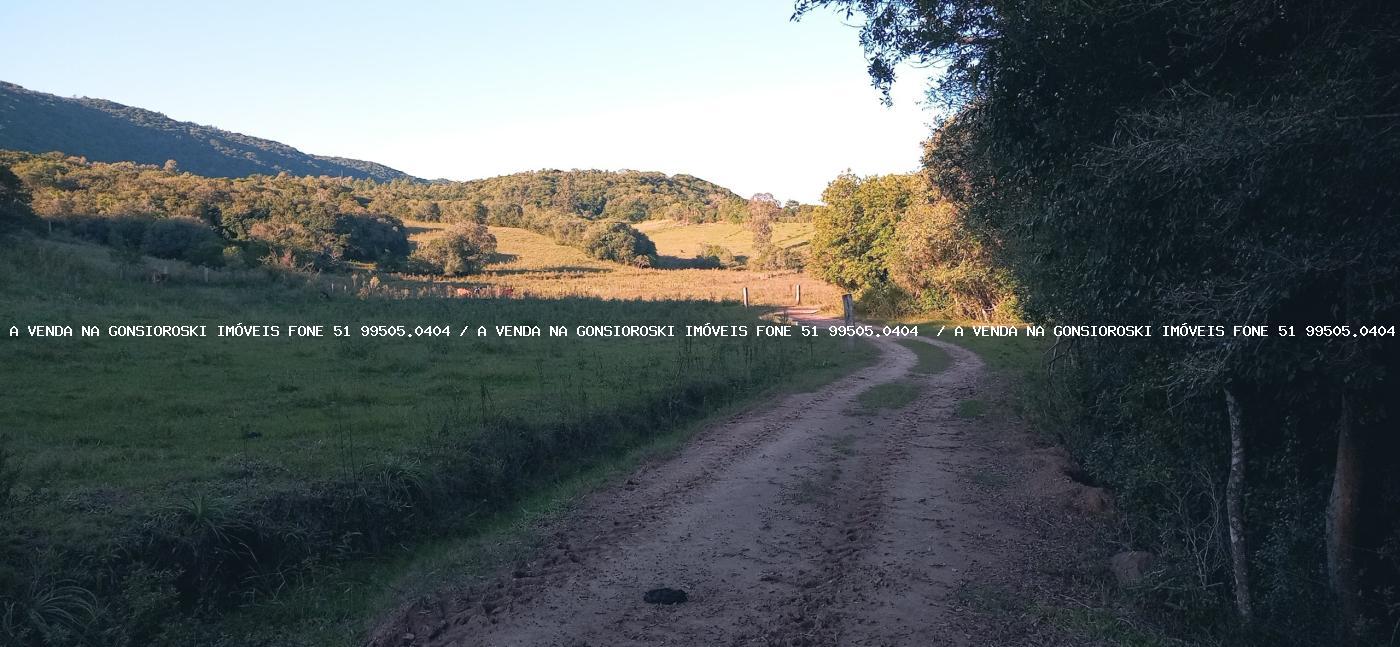 Fazenda-Sítio-Chácara, 6 hectares - Foto 17