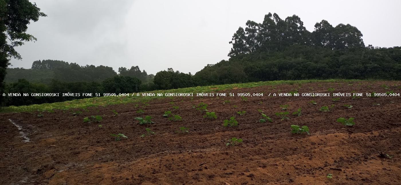 Loteamento e Condomínio à venda, 48000m² - Foto 7