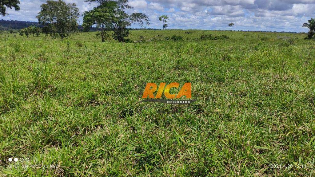 Fazenda à venda, 15900000M2 - Foto 8