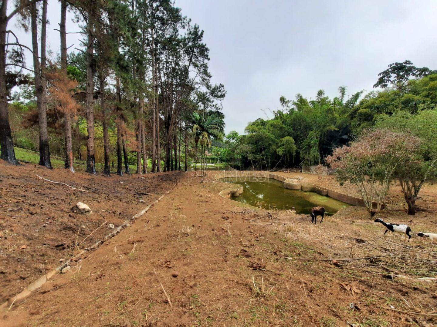 Terreno à venda, 20700M2 - Foto 3