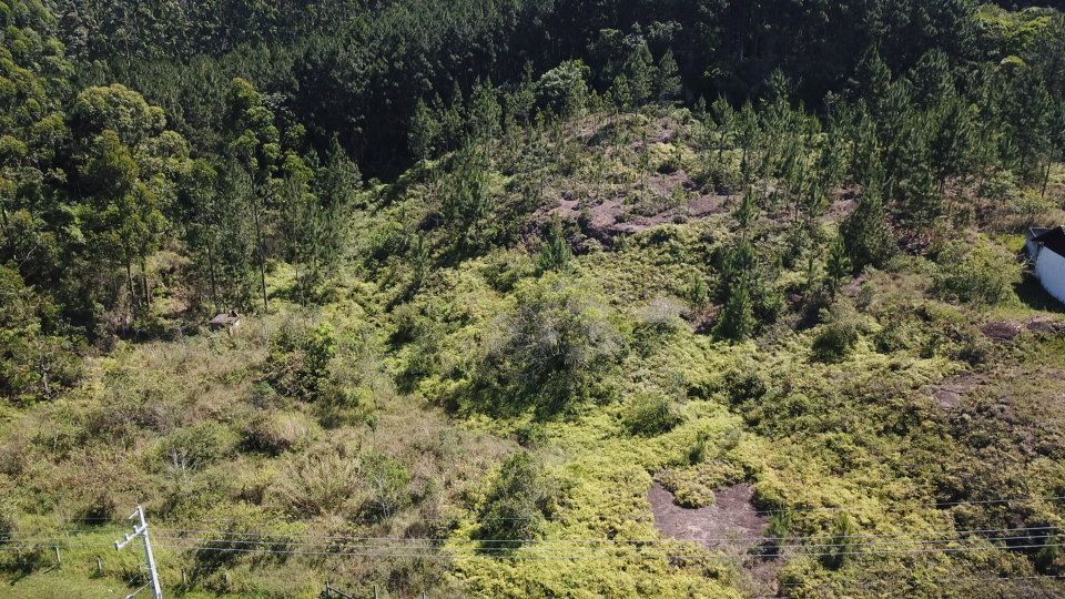 Terreno à venda, 6010 - Foto 18