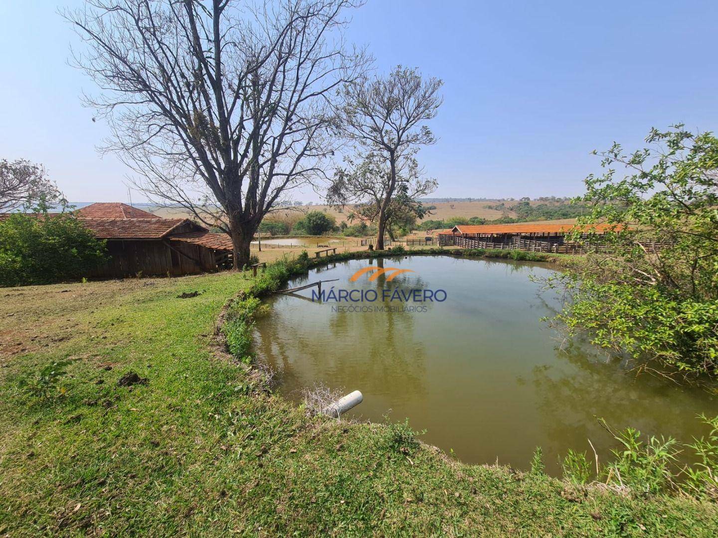 Fazenda à venda, 2299000M2 - Foto 2