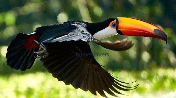 Loteamento e Condomínio, 2 hectares - Foto 6