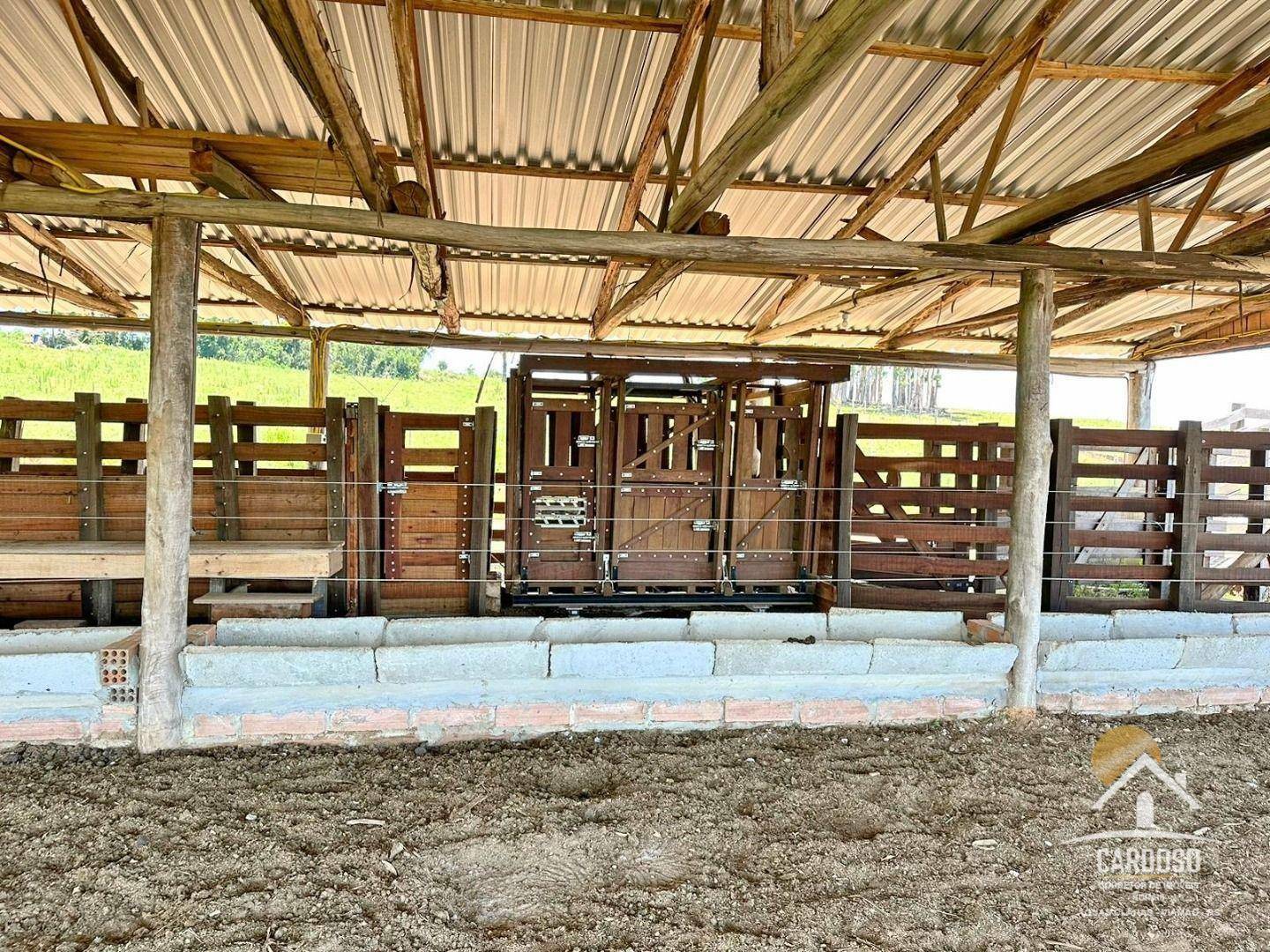 Fazenda à venda com 3 quartos, 1065000M2 - Foto 6