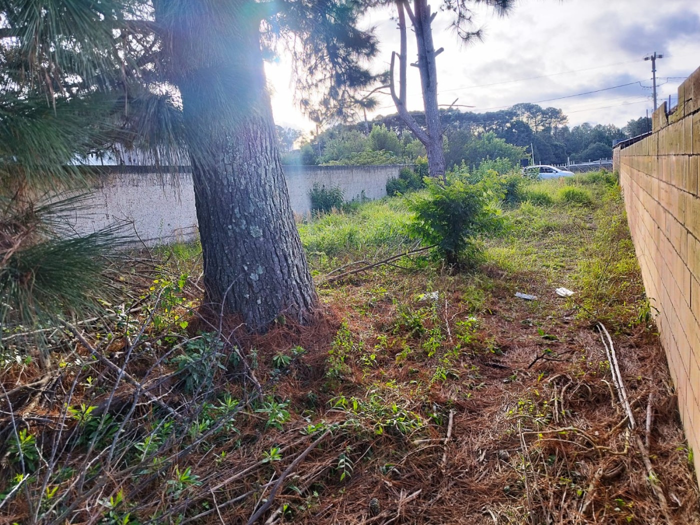 Terreno à venda, 418m² - Foto 4