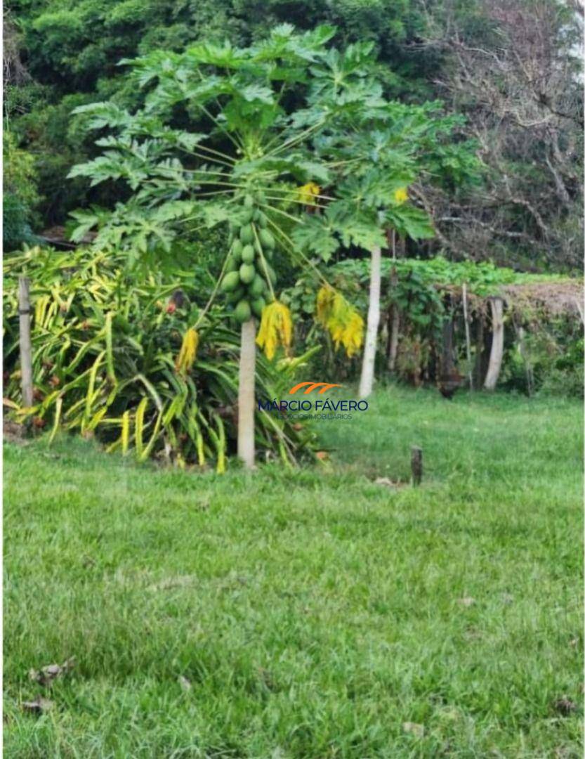 Fazenda, 109 hectares - Foto 11