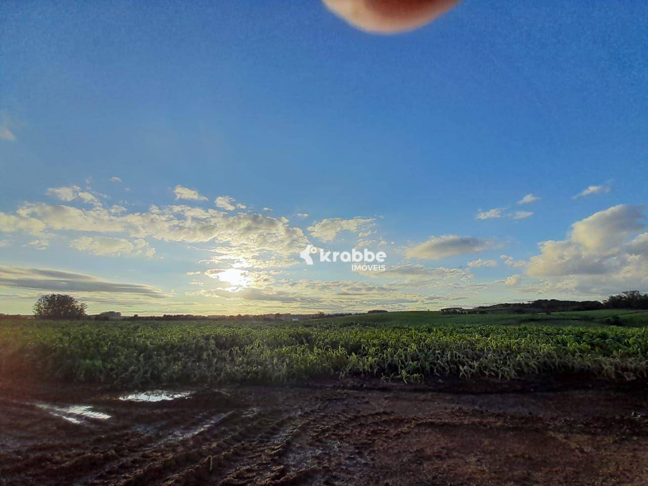 Terreno à venda, 100000M2 - Foto 5