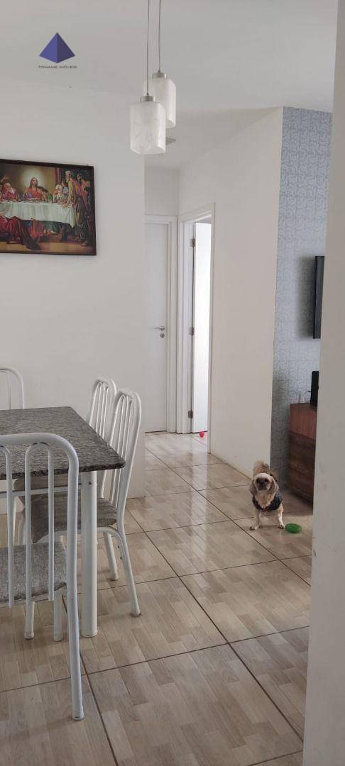 Apartamento à venda com 2 quartos, 56m² - Foto 3