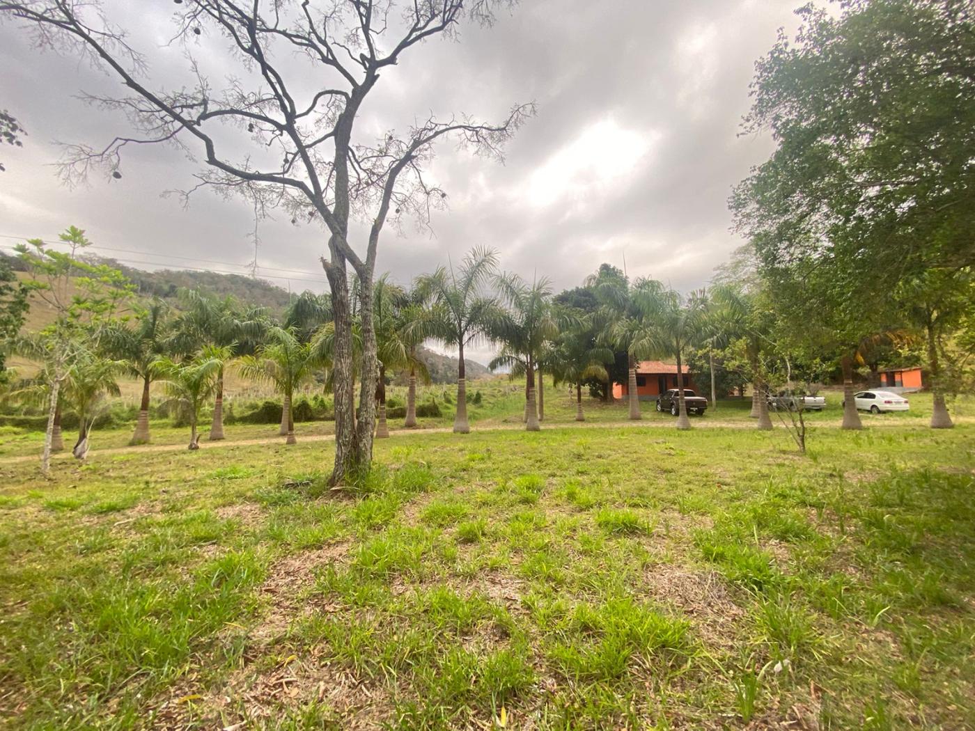 Sítio à venda com 5 quartos, 170000m² - Foto 30