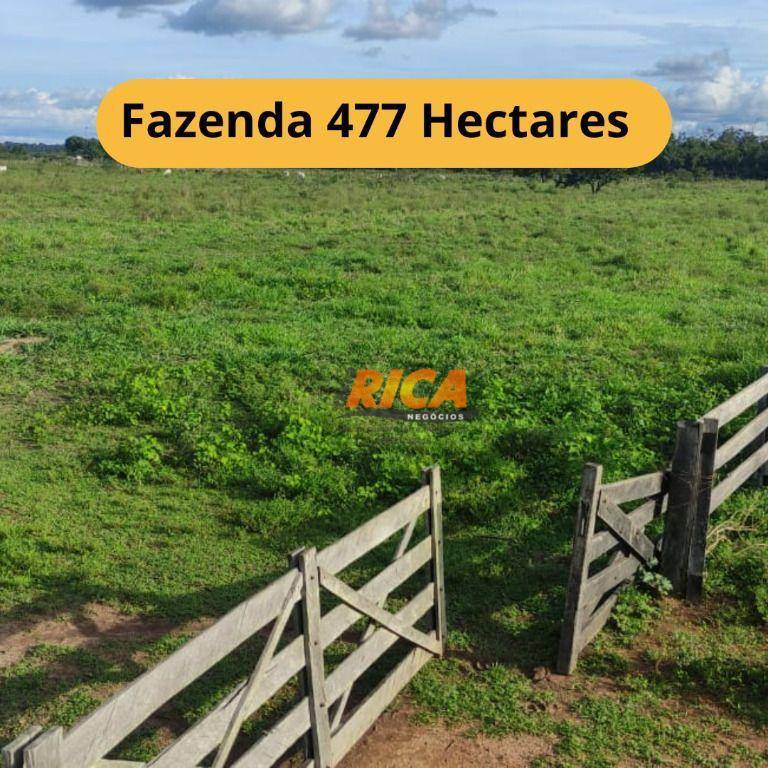 Fazenda-Sítio-Chácara, 477 hectares - Foto 1