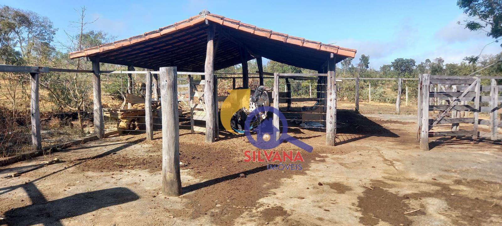 Fazenda à venda com 3 quartos, 389000M2 - Foto 14