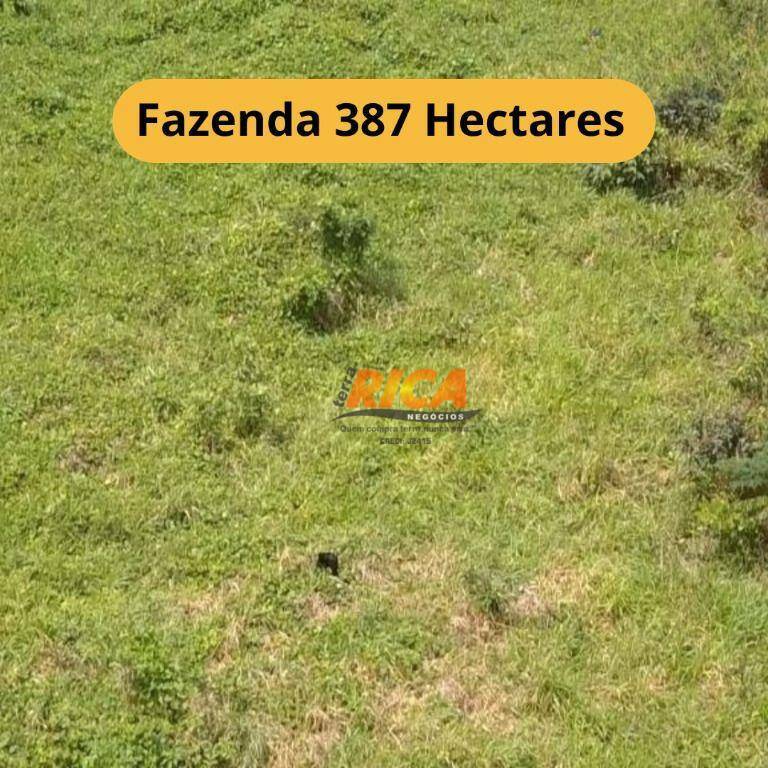 Fazenda-Sítio-Chácara, 387 hectares - Foto 1