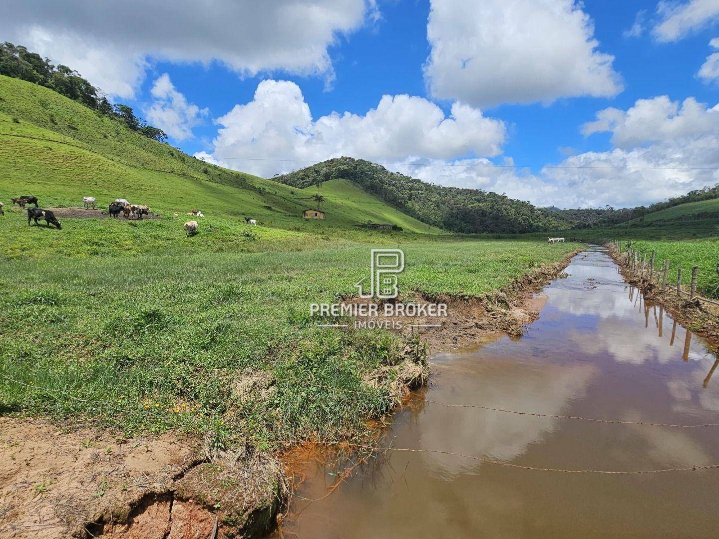 Sítio à venda com 3 quartos, 500m² - Foto 6