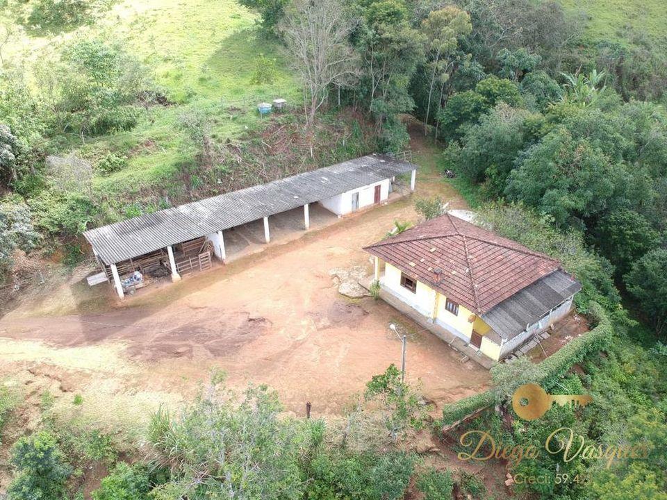 Fazenda à venda com 3 quartos, 280000m² - Foto 21