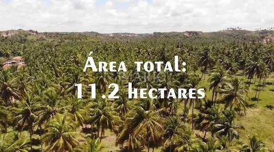 Terreno, 11 hectares - Foto 3