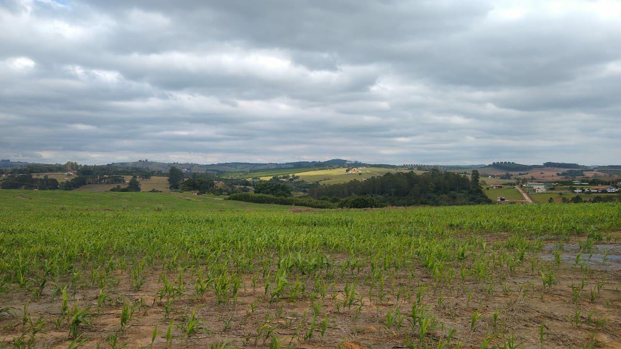 Fazenda à venda com 1 quarto, 968000m² - Foto 1