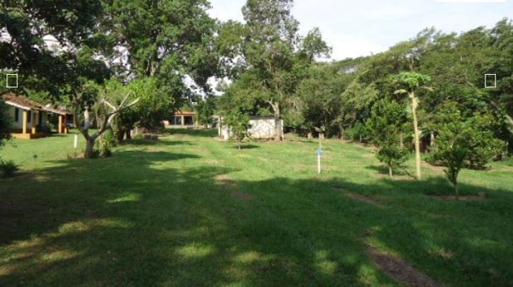 Fazenda à venda, 215m² - Foto 5