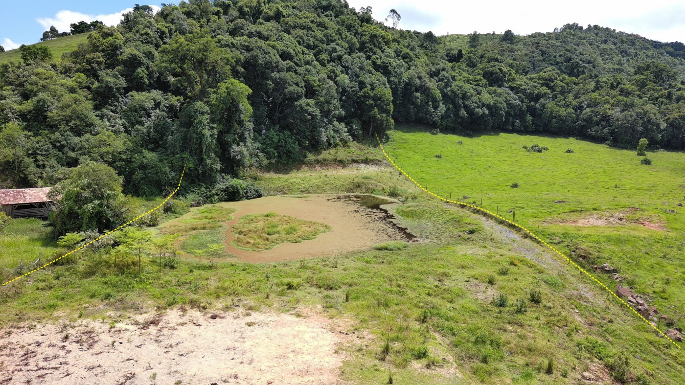 Chácara à venda, 10000m² - Foto 9