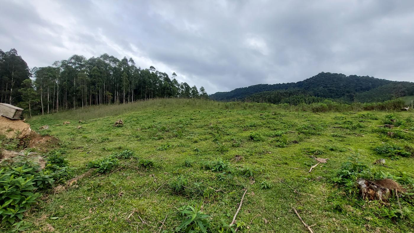 Fazenda à venda, 100000m² - Foto 13