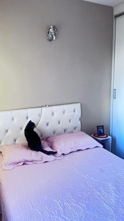 Apartamento à venda com 2 quartos, 51m² - Foto 16