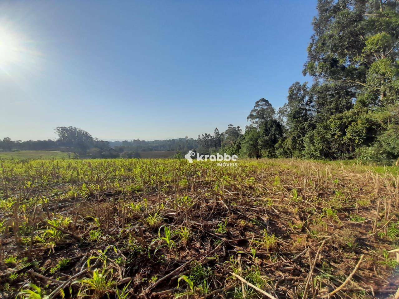 Terreno à venda, 88000M2 - Foto 4