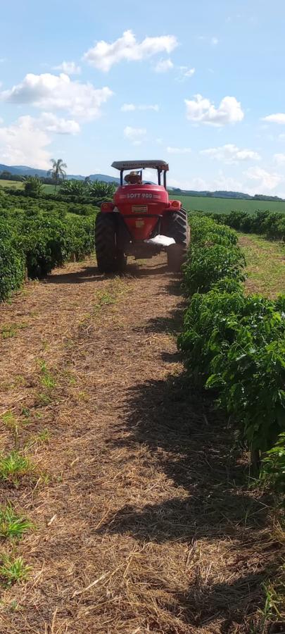 Fazenda à venda, 27m² - Foto 33