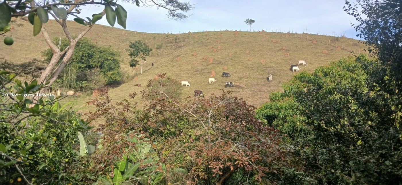Chácara à venda com 3 quartos, 16000m² - Foto 25