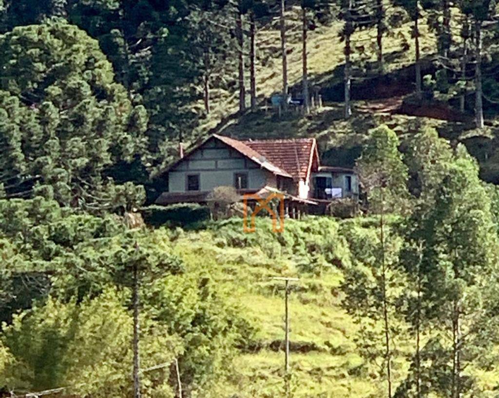 Fazenda à venda com 4 quartos, 3030000M2 - Foto 4