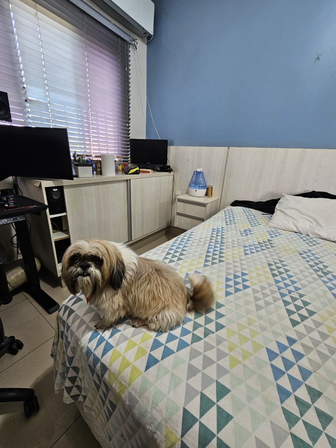 Casa à venda com 4 quartos, 196m² - Foto 12